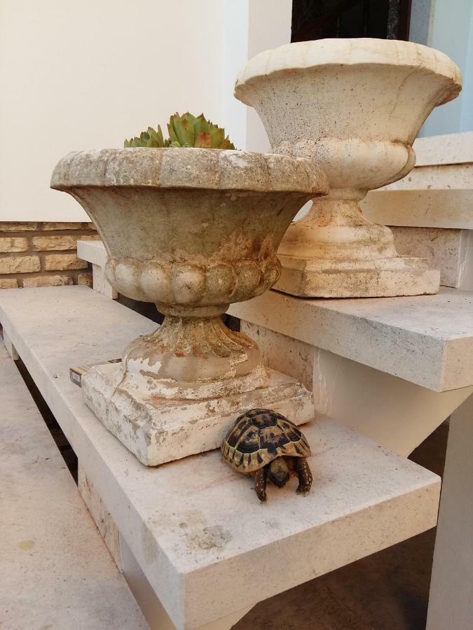 Villa Feodora Biograd Na Moru Extérieur photo